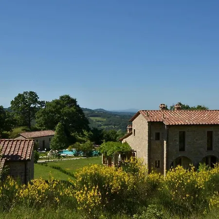 Noce Apartament